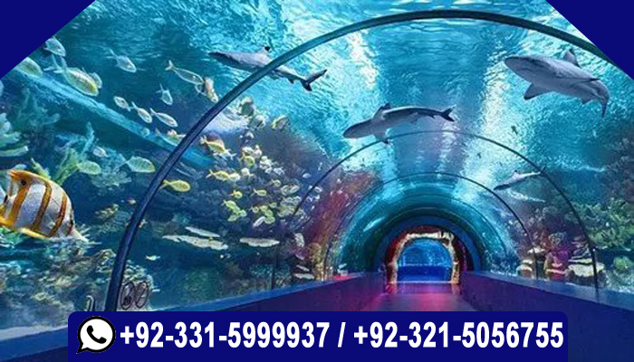 UKQ UK Approved International Diploma in Aquarium and Fish Keeping Course in Islamabad Pakistan